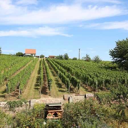 Hotel La Belle Alsacienne - Route Des Vins D'Alsace Hattstatt Exteriér fotografie