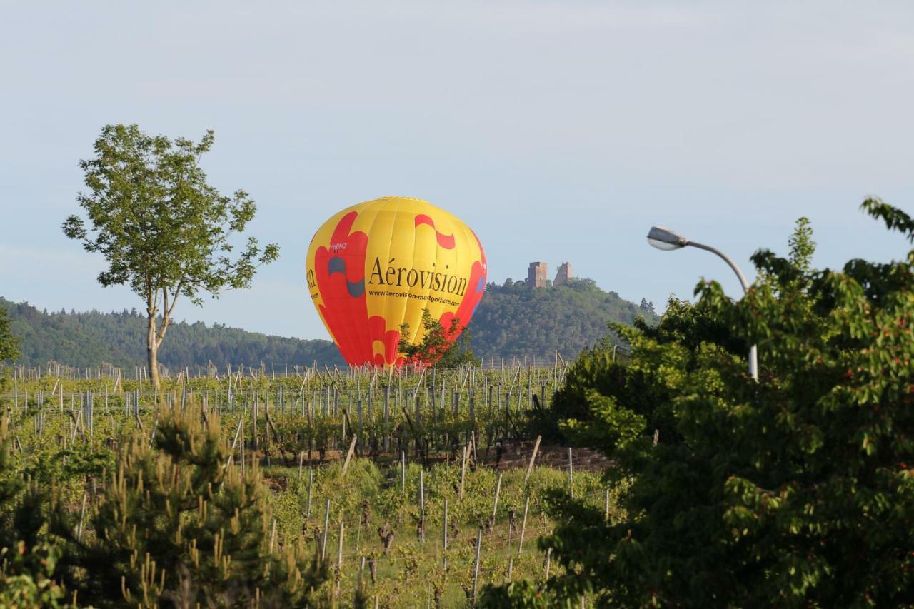 Hotel La Belle Alsacienne - Route Des Vins D'Alsace Hattstatt Pokoj fotografie